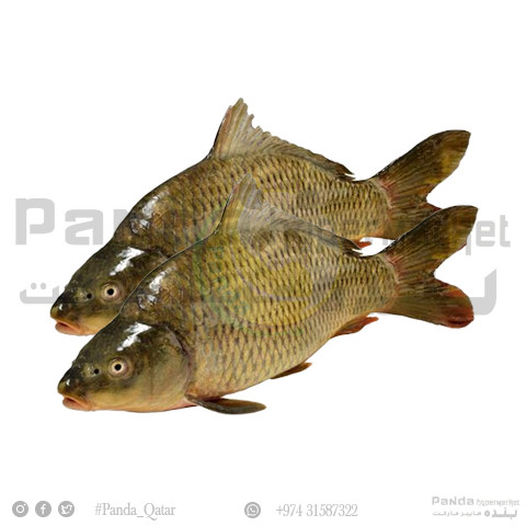 Catla fish 1kg