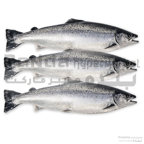 Salmon Fish 1kg