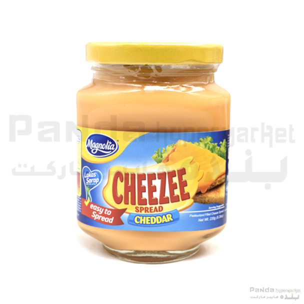 Magnolia Cheez Spread Regular-250gm