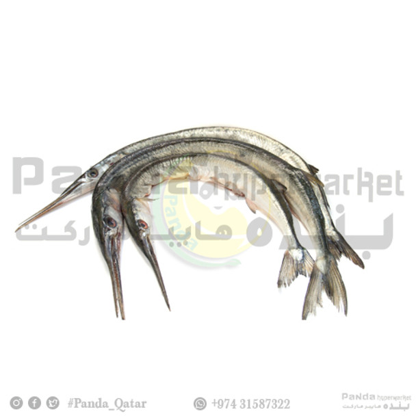 Needle Fish Doha 1kg