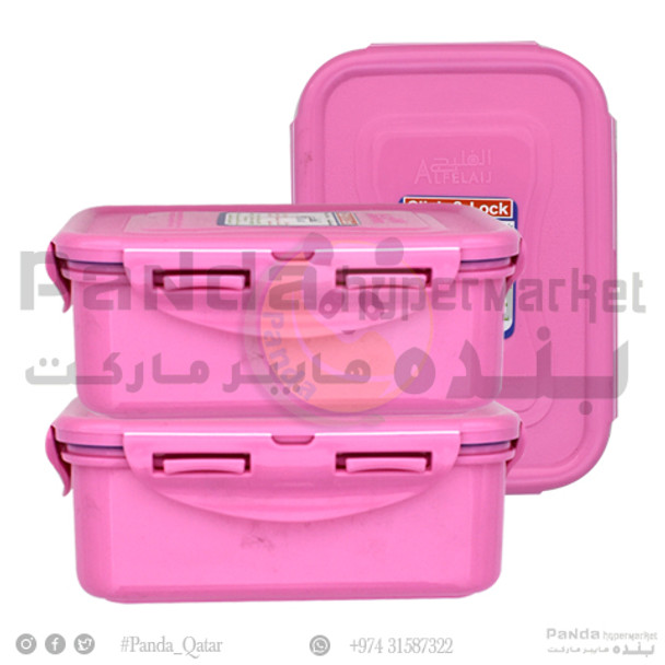 Storage Box Colour 2 Pcs Set AF 1049