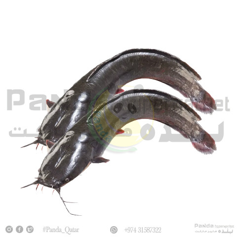 Mumi Fish (Muzhu)