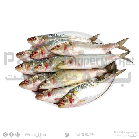 Sardines Fish Oman 1Kg