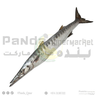 Baracuda Fish Big 1kg (Whole)