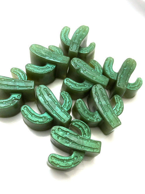 Beach City Boutique Cactus Soap Favors Embeds 