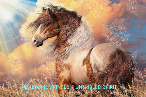 Laurie Prindle Unbridled Spirit, mustang diamond art kit, prairie horse painting, wild horse diamond painting