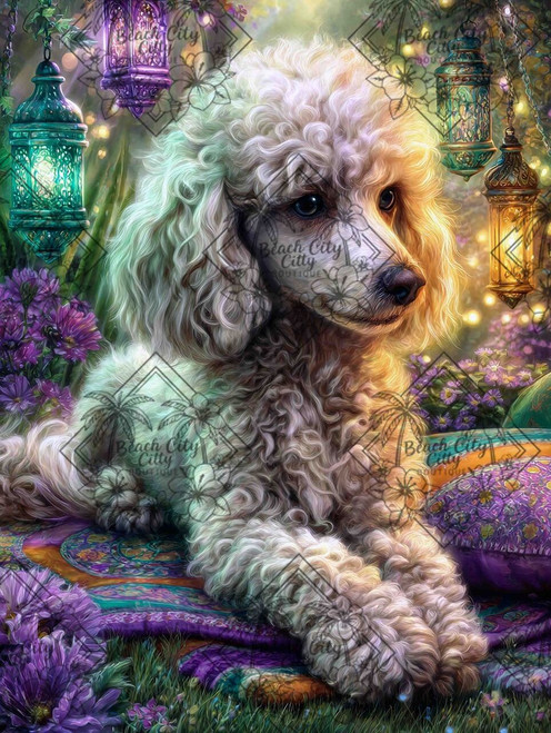 Standard poodle resting on cushions with glowing lanterns in a magical garden