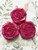 Beach City Boutique Rose Guest Soap 