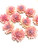 Beach City Boutique Flower Soap Embeds, 10 pieces 