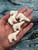 Beach City Boutique Customizable Mini Polar Bear Soap Favors, Embeds - Set of 10 