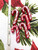 Beach City Boutique Peppermint Candy Cane Soap Embeds for Bath and Body Product Embellishments  and Holiday Favors 