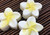 Beach City Boutique Plumeria Soap 