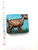 Beach City Boutique Goat Soap