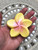 Beach City Boutique Plumeria Soap Set - Tropical Hawaiian Decor - Vegan Soap Gifts