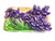 Beach City Boutique Iris Flower Soap, Rectangle 
