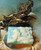 Beach City Boutique Mermaid Soap, Dolphin Soap 