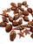 Beach City Boutique Super Mini Seashell Soap Embeds, 35 pc Unscented Embellishments for your Bath and Body Products