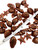Beach City Boutique Super Mini Seashell Soap Embeds, 35 pc Unscented Embellishments for your Bath and Body Products