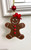 Beach City Boutique Gingerbread  Freshie, Made to Order, Stocking Stuffer 