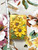 Beach City Boutique Flower Soap, Sunflower, Daisy