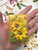 Beach City Boutique Flower Soap, Sunflower, Daisy