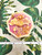 Beach City Boutique Water Lily Soap, Lotus Flower, Asian Décor, Garden Gift