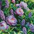 Peony Lavender Garden – Licensed Diamond Art Kit by LY Digital Artistry