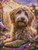 Golden Doodle Glow – Licensed Diamond Art Kit by Sandrietta