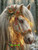 Golden Winter Grace – Licensed Diamond Art Kit by Sandrietta
