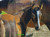 Gentle Foal Gaze – ©Kristin Schwenke Block Licensed Diamond Art Kit - Made to order