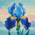 Sapphire Iris Glow ©1000 No Kotoba – Licensed Diamond Art Kit - Made to Order