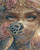 Elly AI elegant woman with ornate gold jewelry and turtle companion with soft blush floral details