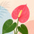 Tropical Flowers © Kelly Reins - 100% Hand Rendered Mini Diamond Art Kit - Made to Order - Square  Resin Drills
