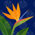 Tropical Flowers © Kelly Reins - 100% Hand Rendered Mini Diamond Art Kit - Made to Order - Square  Resin Drills