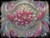 Lotus Dreamcatcher Bloom ©Sweet Loco AI – Licensed Diamond Art Kit - Made to Order