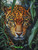 Jungle Shadow Jaguar  ©Sakura - Licensed Diamond Art Kit - Made to Order