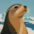 Chill Seal ©1000 No Kotoba – Licensed Diamond Art Kit - Made to Order