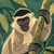 Curious monkey climbing through tropical rainforest branches surrounded by lush jungle leaves.