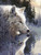 Majestic white wolf gazing across a still mountain lake with its reflection mirrored in calm water beneath a glowing sunrise.