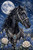 Midnight Ranch Majesty by Kelly Reins featuring a black horse with turquoise tack beneath a glowing full moon surrounded by bluebonnets and white roses.