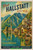 Hallstatt Alpine Reflections  ©1000 No Kotoba – Licensed Diamond Art Kit - Made to Order