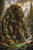 Guardian of the Ancient Wilds ©ManuVany AI – Licensed Diamond Art Kit - Made to Order