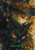 Witch's Familiar ©Sakura - Licensed Diamond Art Kit - Made to Order