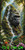 Silverback Falls Sanctuary  © Kelly Reins - Diamond Art Kit - Made to Order