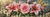 Country Rose Harvest ©Elly_A.I. - #MegaDrillChallenge2027 - Licensed Diamond Art Kit - Made to Order