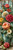 Large coral, crimson, peach, ivory and yellow flowers arranged against distressed vintage turquoise wooden boards.