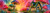 Elly AI whimsical cottage surrounded by giant red teal and purple mushrooms in colorful enchanted forest at sunset