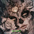 Shattered Rose Visage ©Sweet Loco AI – Licensed Diamond Art Kit - Made to Order