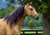 Amber's Heart by Kristin Schwenke Block featuring an elegant golden horse with a flowing dark mane standing beneath a large tree in a peaceful sunlit country pasture.