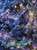 Bat Celestial Jars ©Sandrietta  – Licensed Diamond Art Kit - Made to Order